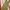 H&M Y2K Bodycon Dress Wanita Green