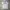 Timberland Y2K Minimalist T-shirt Pria white photo 1