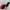 Hysteric Glamour Avant Garde Bra Wanita black photo 4
