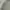 Polo Ralph Lauren Casual Polo shirt Pria green photo 2