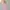 Minimalist Casual Shirt Wanita pink photo 1