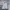 Nautica Minimalist Casual Sweatshirt Pria gray photo 1