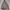 Columbia Sportswear Parka Pria multicolor photo 2