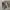 Vans Mooneyes Vans Limited Edition Vans Rare Size 44.5 photo 7