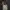 Covernat Vintage Streetwear Bag Pria cream photo 1