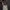 Covernat Vintage Streetwear Bag Pria Cream