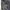 The North Face Minimalist Windbreaker Pria black photo 4