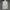 Women Vest Michael Kors / White Top Vest Sleevesless photo 6