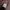 Spao Vintage Streetwear Hoody Pria tan photo 5