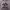 Spao Vintage Streetwear Hoody Pria Tan