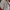 Jersey Sunderland 2007/08 Original Retro Vintage photo 8