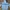 Champion Streetwear Sportswear Hoody Pria gray photo 2