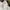 The North Face Hyvent 2.5L Outdoor Jacket White photo 5
