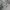 Hoodie Bad In Bad photo 4