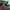 Adidas Casual Sneakers Pria green red photo 2