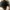Coach Bleecker Signature Canvas Bucket bag photo 7