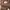 Coach Bleecker Signature Canvas Bucket bag photo 5