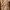 ZARA Casual Kids cream photo 5