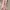 Catokan curly photo 3