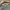 True Religion Streetwear Y2K Sweatshirt Pria gray photo 4