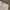Celana Pendek JCREW Branded Chinos Short Pants - Big Size photo 4
