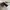 Kate Spade Coquette Crossbody Bag Wanita white black photo 8
