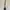 Kate Spade Coquette Crossbody Bag Wanita white black photo 3