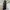 Kate Spade Coquette Crossbody Bag Wanita white black photo 7