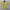 Vintage Casual Casual shirt Pria yellow photo 1