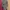Satu kali pakai syuting, kondisi LIKE NEW photo 3