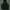 K2 Sportswear Leather jacket Pria black photo 5