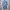 The North Face Sportswear T-shirt Pria multicolor photo 2