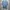 The North Face Sportswear T-shirt Pria multicolor photo 1