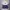 Vintage Sportswear Windbreaker Pria purple white photo 2