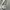 Pullover Hoodie STUSSY INTERTIONAL Small Logo photo 6