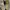 Dr. martens 1460 MIT photo 3