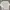 Covernat Casual Sweatshirt Pria Gray