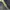 Levis 501 thunder fade photo 6