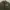 Zipper Hoodie NORTON Embroidery Sherpa Army photo 4