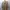Casual Trench coat Wanita tan photo 1
