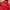 SOPHNET. Streetwear Skater Jumper Pria red photo 5