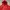 SOPHNET. Streetwear Skater Jumper Pria red photo 4