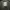 Jacket Code:Graphy Military US-ARMY Padding Jumper  photo 5
