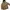 Uniqlo Sportswear Puffer Jacket Pria Tan