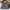 Penfield USA Wax Cloth Parka Multipocket Jacket HPC1000 photo 6