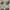 VINTAGE LV BLACK EPI POCHETTE ACCESSORIES (NETT PRICE)  photo 10