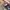 VANS OTW BEDFORD  photo 8