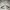 Abercrombie & Fitch Streetwear Harrington jacket Pria white photo 2