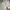Abercrombie & Fitch Streetwear Harrington jacket Pria white photo 5