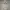 Abercrombie & Fitch Streetwear Harrington jacket Pria white photo 1